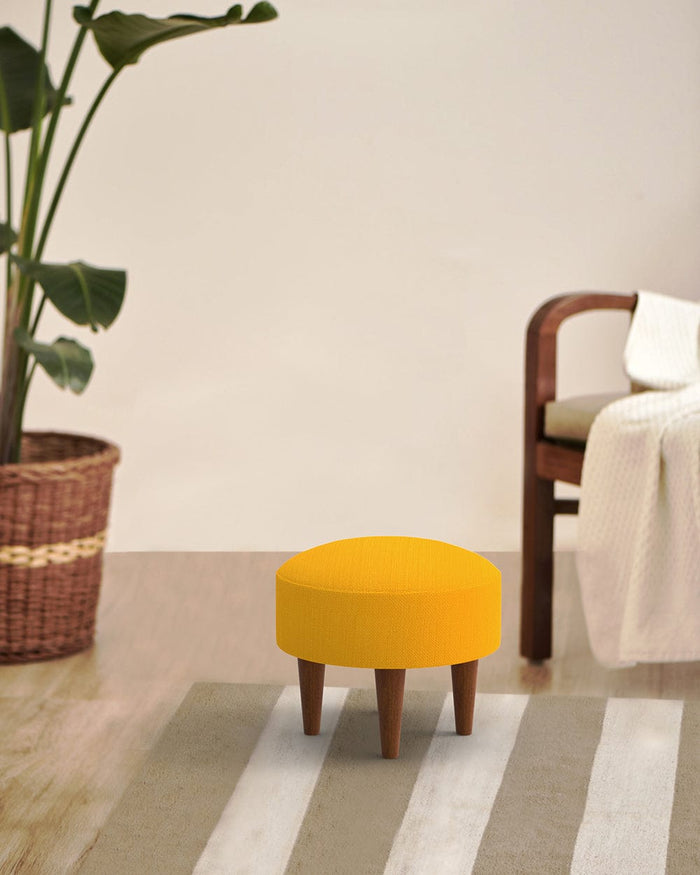Sahara Mustard