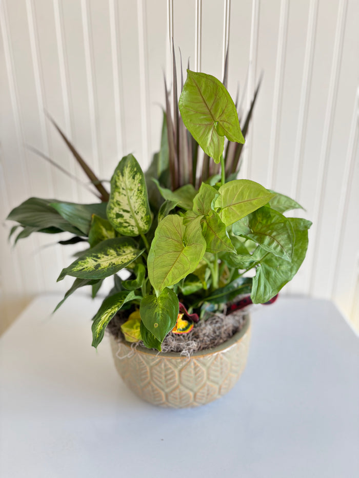 Ceramic Dish Garden