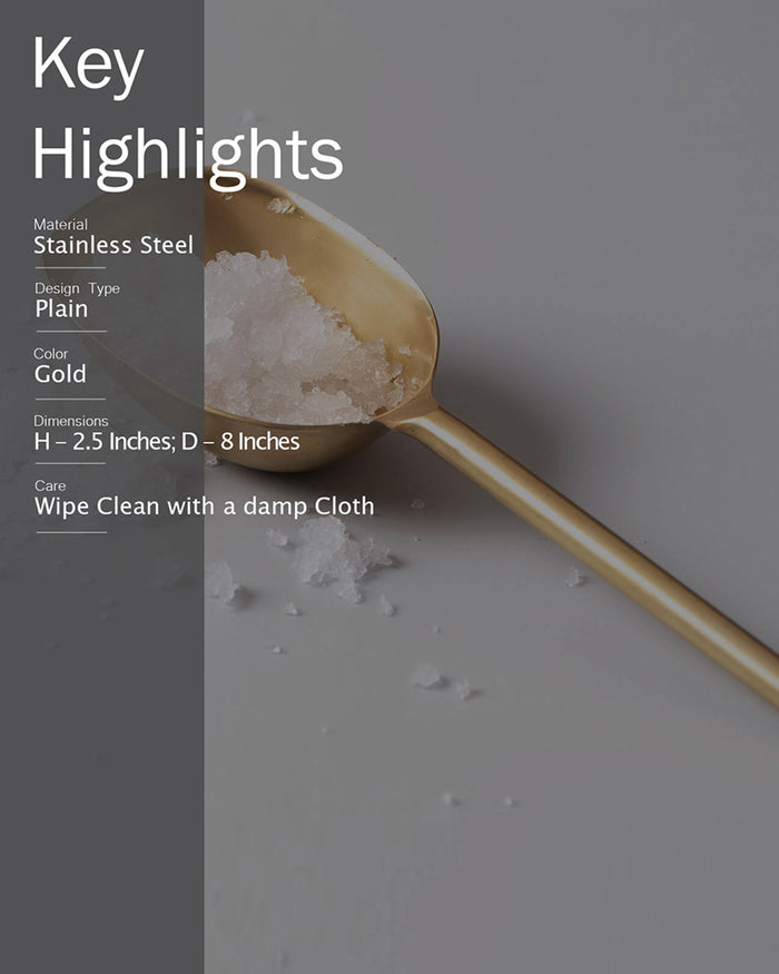 Classic Gold Ice Scoop