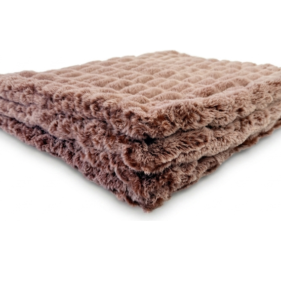 Iced Milan Cinnamon Minky Blanket