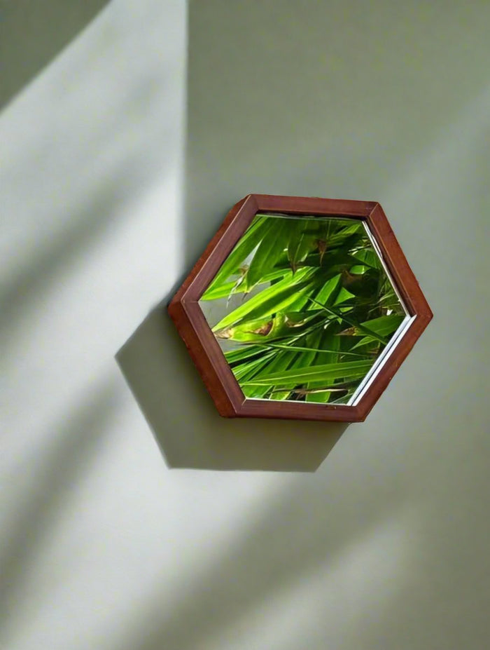 Geometra Honeycomb 3D Collage Teak Mirror