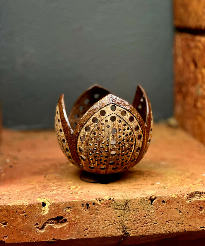 A brown eco-friendly planter pot made from coconut shell, containing a green plant.