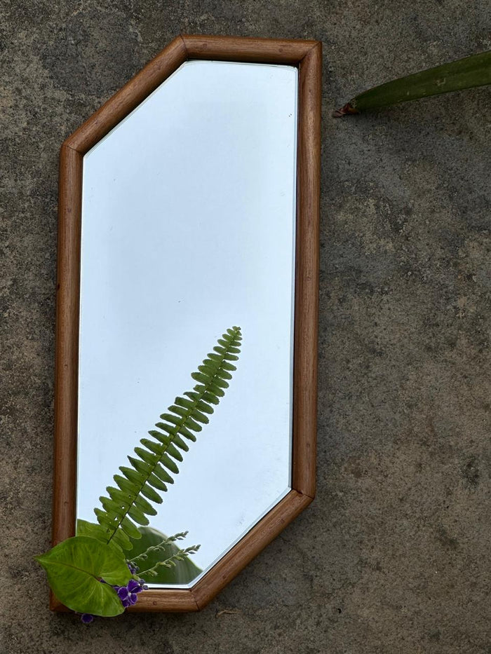 A rectangular mirror with a wooden frame, hanging on a wall with a few leaves placed in front of it, giving the appearance of a flower vase.