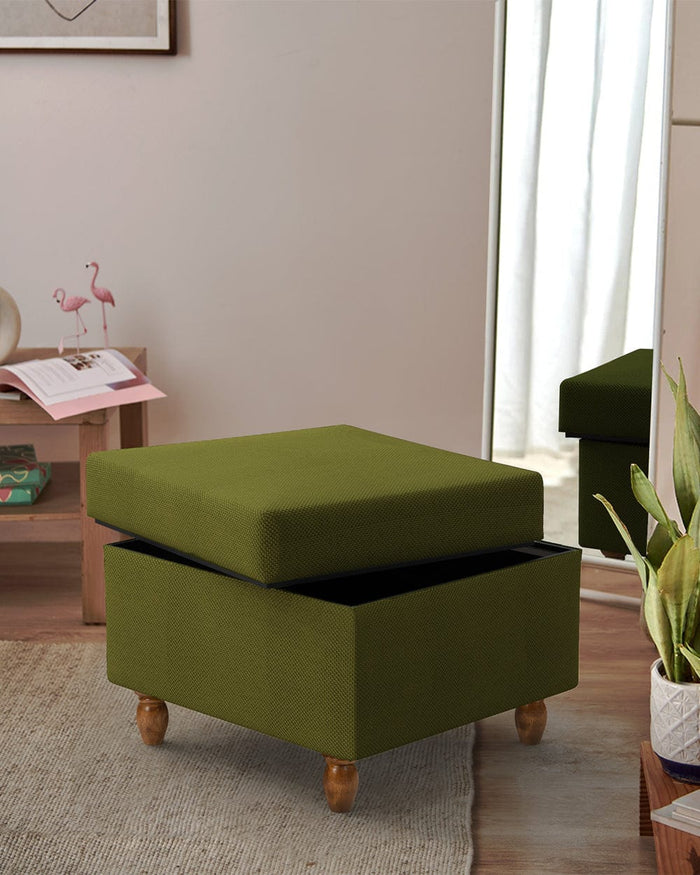 Chumbak Modern Trunk Storage Ottoman - Savanna Green