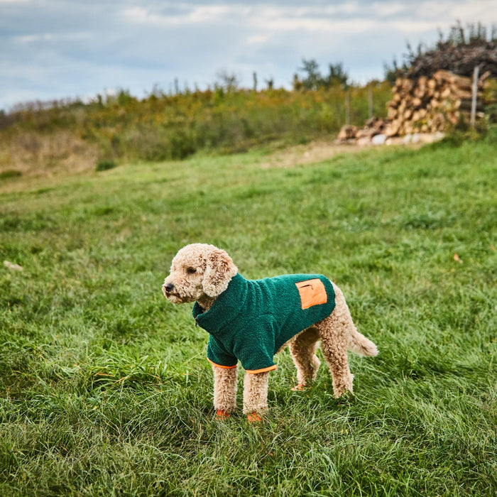 Green Monkey Fleece on a medium dog