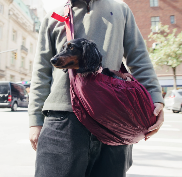 Nylon Packable Messenger Pouch Carrier
