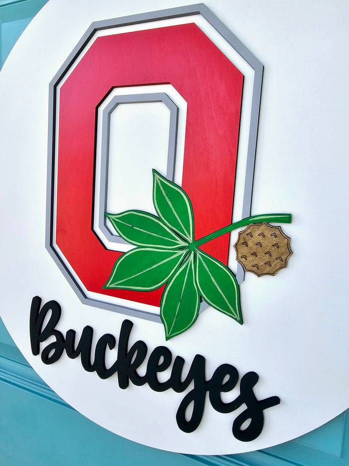 Ohio State Buckeye Door Hanger