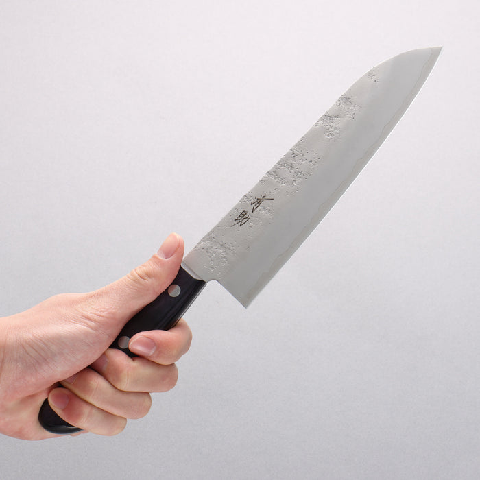 Seisuke Budou Silver Steel No.3 Nashiji Santoku 180mm Purple Pakkawood Handle - Seisuke Knife