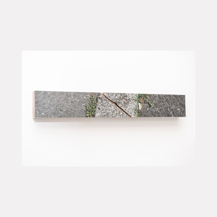 The artwork 'Sidewalk Crack' by Ryan Frank captures a minimalist urban landscape detail, featuring a diagonal fissure in concrete pavement with small green weeds emerging through. The color photograph, mounted on sapele wood, presents a stark contrast between gray concrete texture and resilient plant life, measuring 2.5 x 16 inches.