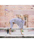 stripe turtle neck on model