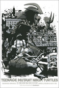 TMNT  Variant Jeff Proctor poster