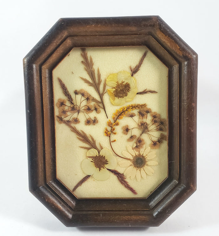 Vintage Small Pressed Flower Framed Art Botanical Wall Art 4 1/2" x 5 1/2"